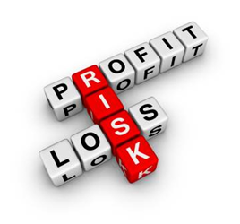 Finance: profit risk and loss
