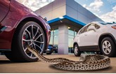CarGurus' test drives survey found some potential customers had taken bizarre pets along for the ride